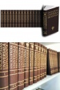 Enciclopedia Universala Britannica (16 volume)