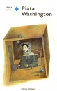 Piata Washington Piata Washington