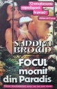 Focul mocnit din Paradis Focul mocnit din Paradis